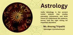 Vedic astrology consultation